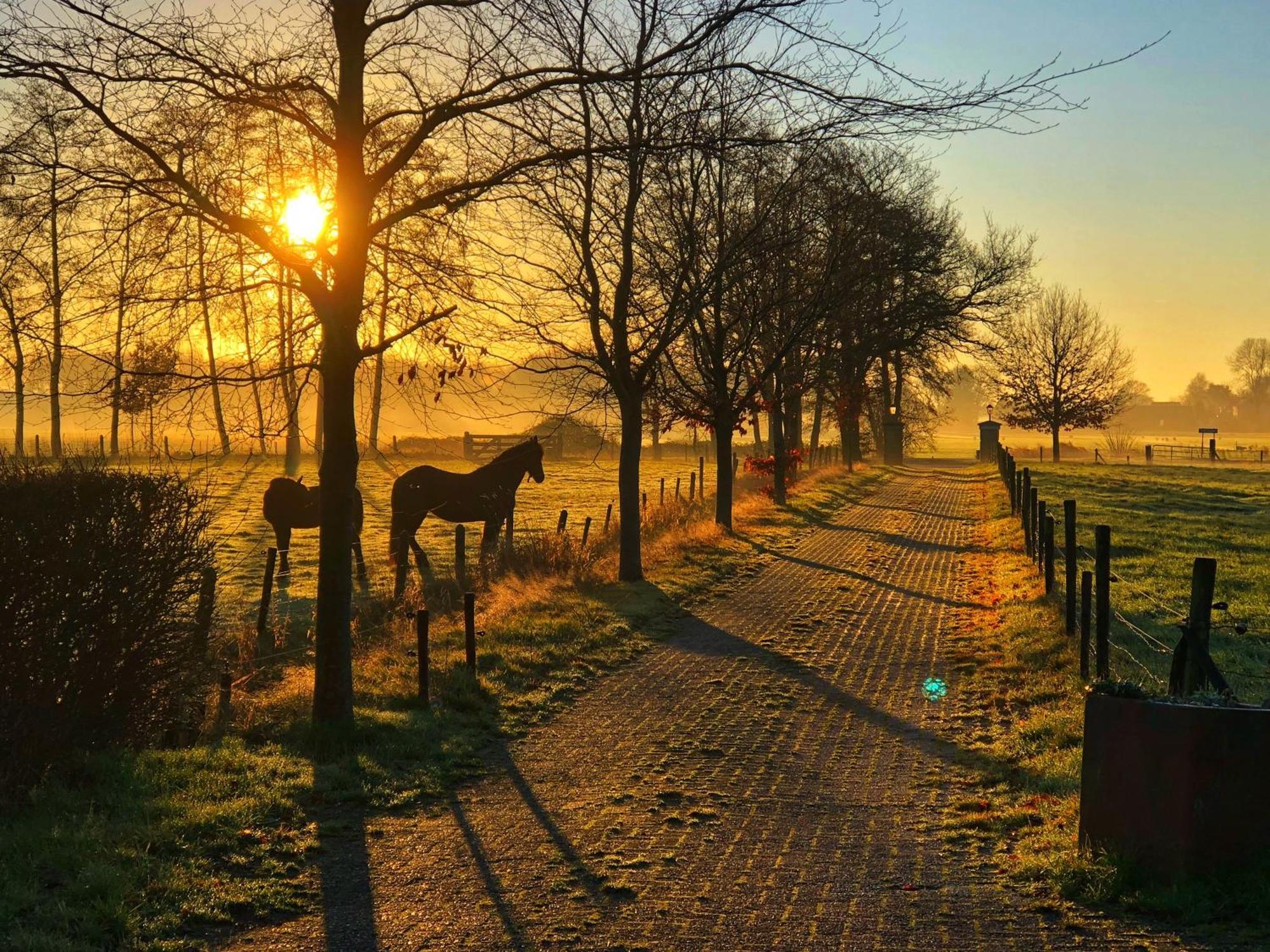 B&B Zandhuizen Exteriör bild