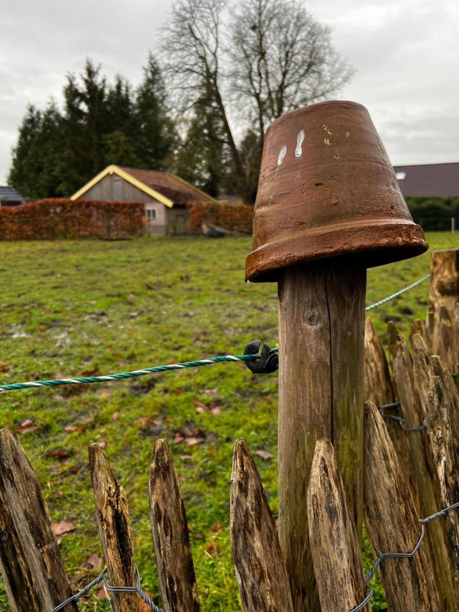 B&B Zandhuizen Exteriör bild