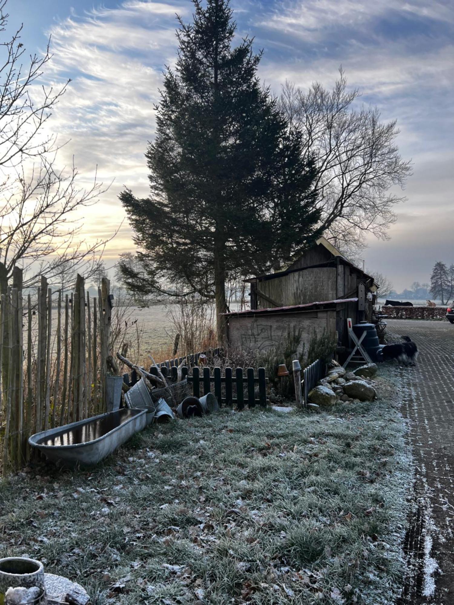 B&B Zandhuizen Exteriör bild