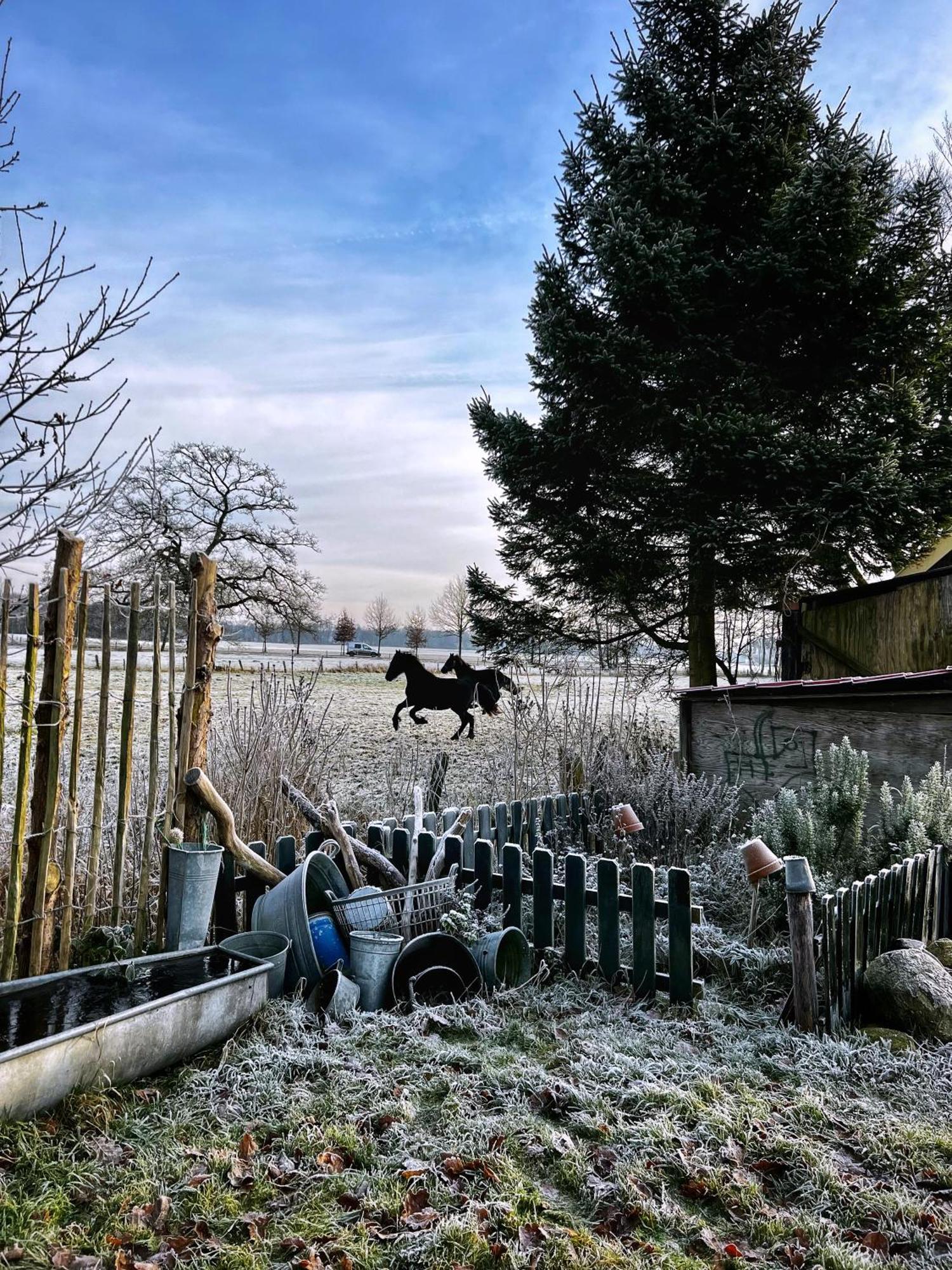 B&B Zandhuizen Exteriör bild