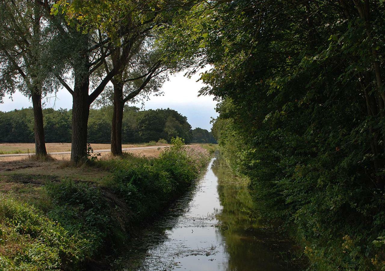 B&B Zandhuizen Exteriör bild