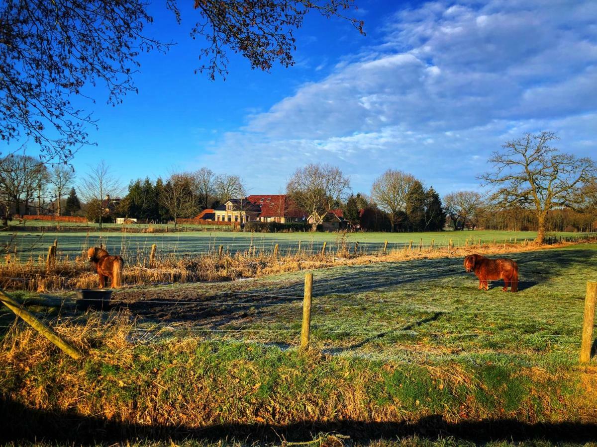 B&B Zandhuizen Exteriör bild